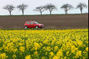 Auto und Rapsfeld