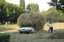 Bild des Tages, 08.10.09