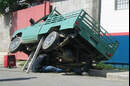 Bild des Tages
