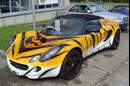 Bild des Tages