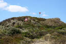 Bild des Tages, 27.03.2010