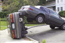 Bild des Tages