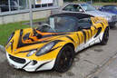 Bild des Tages