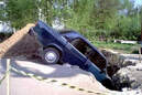 Bild des Tages