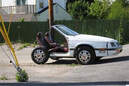 Bild des Tages