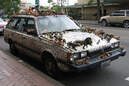 Bild des Tages, Crazy car picture, verrückte Autobilder, lustige Autobilder