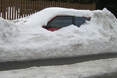 23.02. - Eingeschneit: So leicht kommt der hier nicht raus. Bild des Tages - Februar 2010