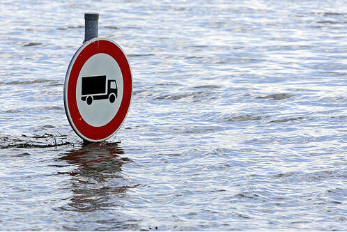 Bild des Tages - Februar 2010