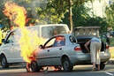Bild des Tages, Januar, 2010