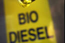 Biodiesel