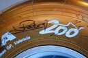 Bridgestone F1-Reifen