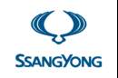 Der Sanierungsplan von Ssang Yong wurde genehmigt.
