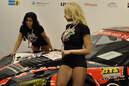 Essen Motor Show 2009 - Messegirls