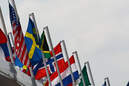 F1 Flagge