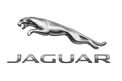 Jaguar Jaguar