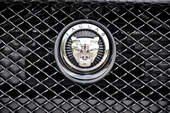 Jaguar XFR, Markenlogo