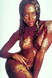 Pirelli-Kalender 1995 Pirelli-Kalender 1995