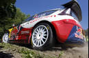 Sebastien Loeb