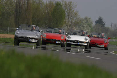 Vier Mal Alfa Spider