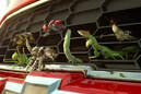 Werbespots Superbowl 2012, Chevrolet